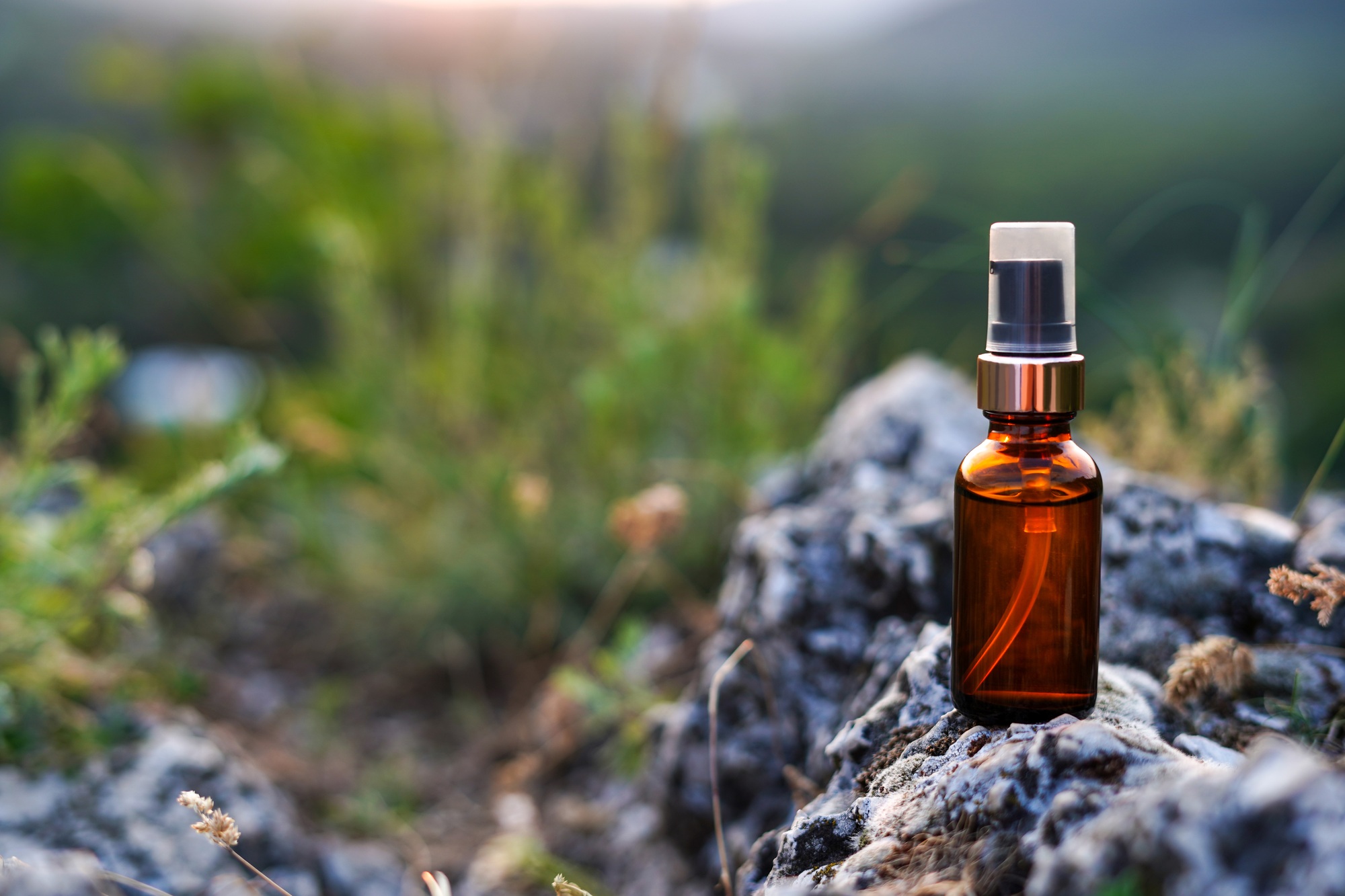 Le guide de la fleur de CBD